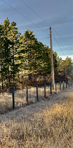 Video Production, Event Videography, Live Streaming, Training Films, Corporate Video, Documentaries, Campaign Video, Cinematography, Audio Production, Government Video, Marketing Support, Music Videos, Short Stories, Post Production, Editing, VHS Transfers, Media Conversion, TV Commercials, Social Media Video, Promo Videos, Testimonials, Speaker Reels, Highlight Reels, Action Reels, Long Form Video, DVD Authoring, Training Films Wyoming, Training Films Cheyenne Wyoming, Training Films Laramie Wyoming, Training Films Colorado, Training Films Fort Collins Colorado, Training Films Loveland Colorado, Training Films Wellington Colorado, Training Films Greeley Colorado, Training Films Nebraska, Training Films Gering Nebraska, Training Films Scottsbluff Nebraska, Live Streaming Colorado, Live Streaming Fort Collins Colorado, Live Streaming Loveland Colorado, VHS Transfers Wyoming, VHS Transfers Cheyenne Wyoming, VHS Transfers Laramie Wyoming, VHS Transfers Fort Collins, VHS Transfers Colorado, DGW Video, DGW, DGWVIDEO, election, voting, memorial services, special events, multi-camera shoots, audio production, political ads, political videos, election video, military, ,military retirement, Field of Honor, aviation, Commemorative Air Force, video tape, video tape transfers, DVD, interviews, news, broadcast, digitizing, digitize, video tapes, drone, aerial footage, commercial drone, 14 CFR Part 107 certified