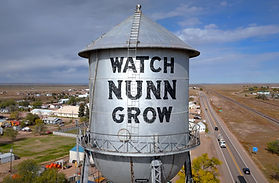 Nunn Poster_edited.jpg