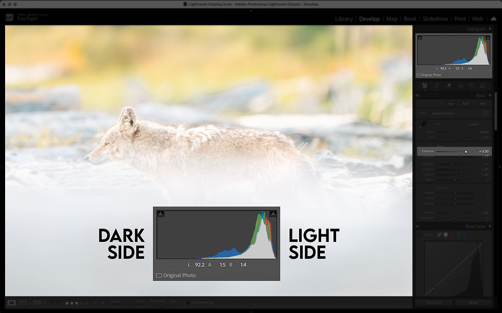 Overexposed photo: Take note of which direction the histogram shifts.