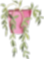 potted_0006_7.png