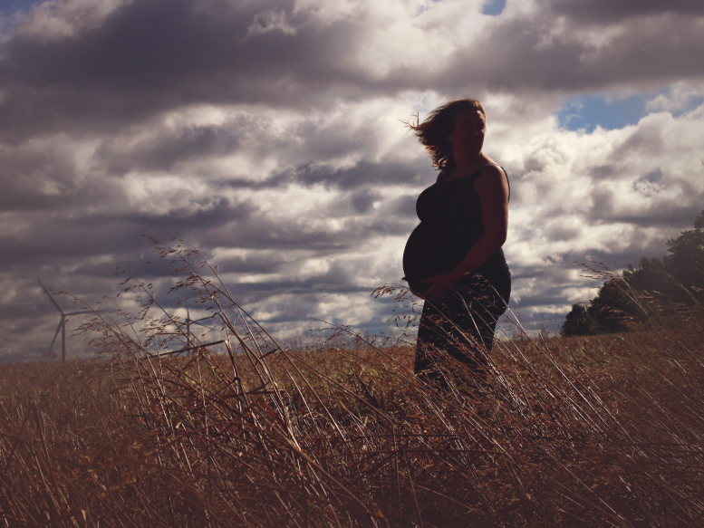 Cornfield maternity shoot