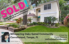 Vivian Resnick Realtor Tampa Real Estate