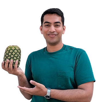 Tanishq Jain - Pineapple - Headshot.png