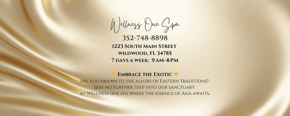 Wellness One Spa (1).png