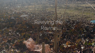 Reviving the Ravine