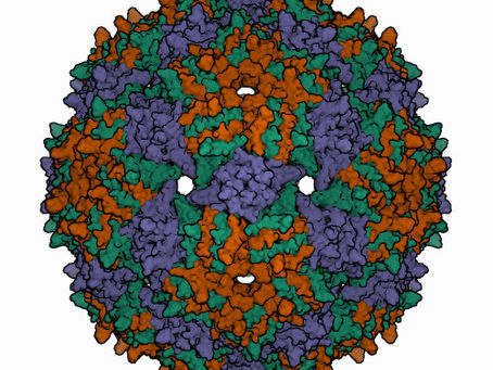 Protein detectives