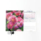 Thumbnail: Horizontal Calendar 2026
