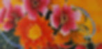 Banner07.jpg
