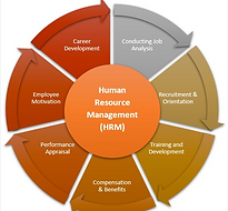 The Best Human Resouce Consultant