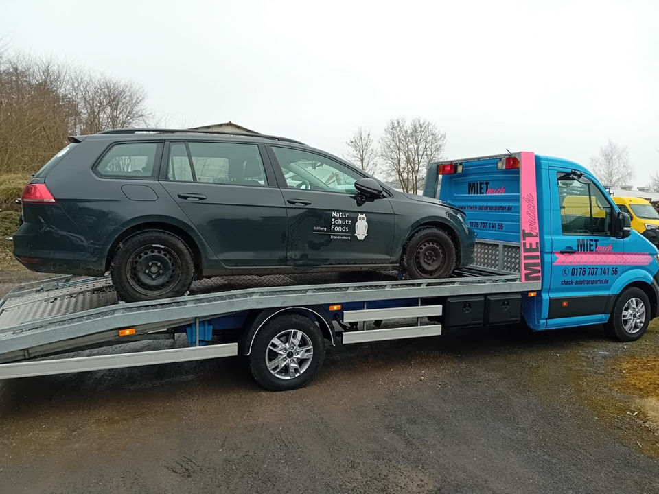 Autoransporter Check Autotransporter