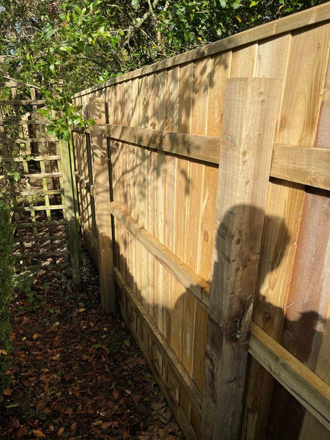 Photo 21-10-2021, 11 38 56.jpg