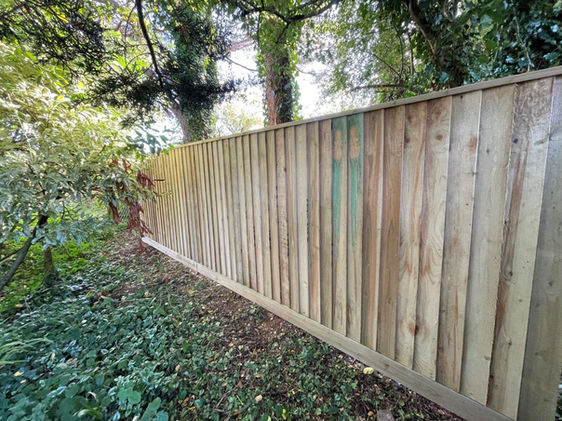 Photo 21-10-2021, 11 37 41.jpg