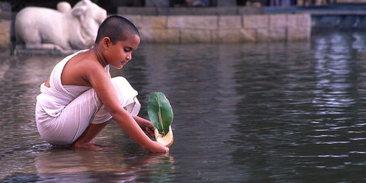 The APAHM Project Day 12: Water