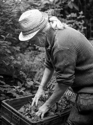 LA TERRE DES FEMMES, Femmes paysannes et agricultrices, série photographique en Bretagne par Pauline Makoveitchoux, Photographe Féministe