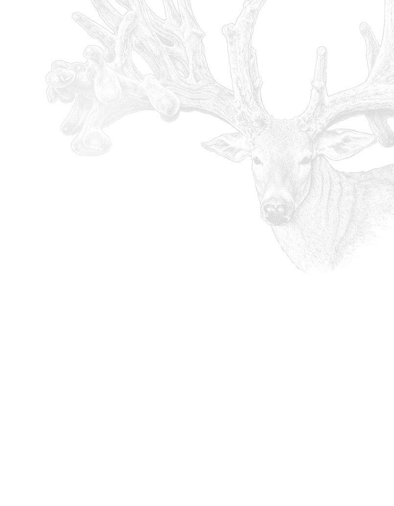 deer art 2.png