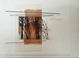 Jill Edwards Image 1.jpg
