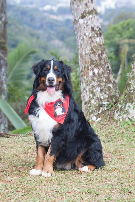 MAX-2.jpg
