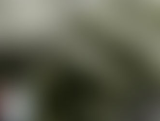 previsione dettagliata fino al 25 aprile