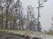 Video previsione ....con i fiocchi