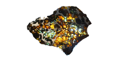 pallisate_edited