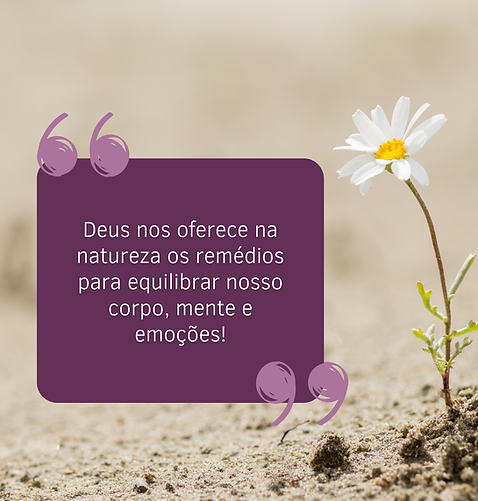 Qual a função do terapeuta (7).png