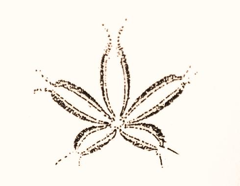 LOGO ORTHO_edited.png