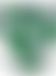 Petit Bateau or how a pant brought me to France