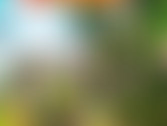 Craft, food and cooking