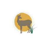 Alanna Hyde Bloom (1).png