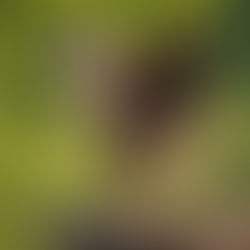 No Excuses, No Exceptions