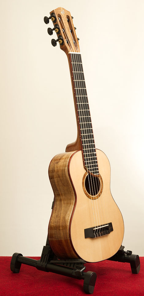 GuitarPhotos-456.jpg
