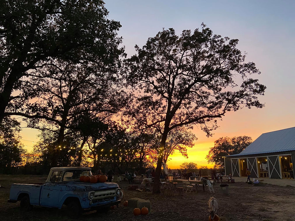 Home Honeysuckle Ranch