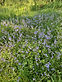 thumbnail_IMG_3570.jpg