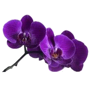 90e110f4.gif