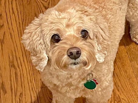 31-May-2024 and into June - Pivot back to Dublin, Ohio