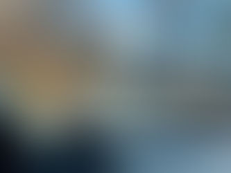 09 Nov-2023. Shenandoah National Park - Skyline Drive