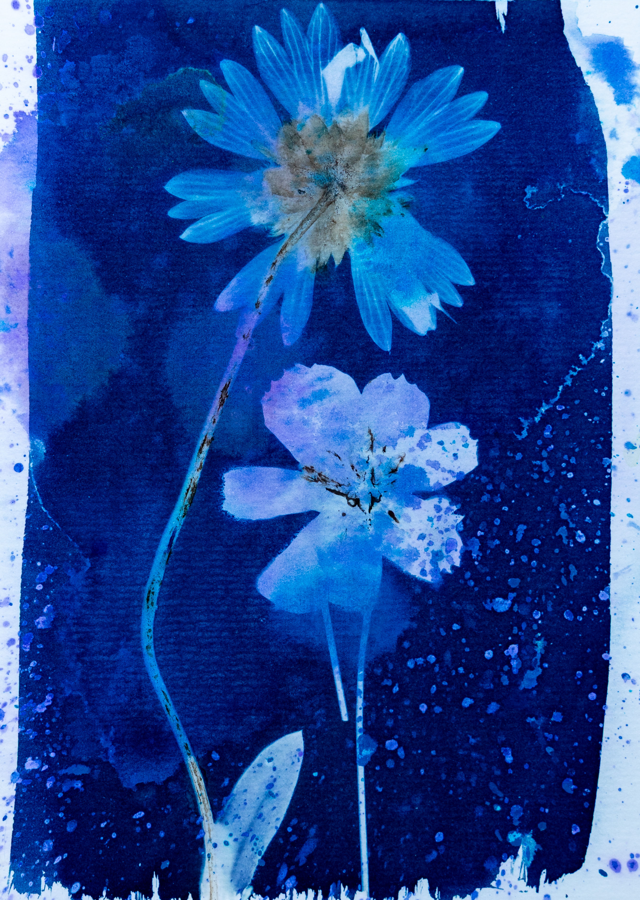 Some Kind of Blue