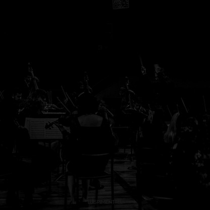 Andres Cardenas-25_edited.jpg