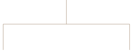 INFOGRAFICO WP-08.png