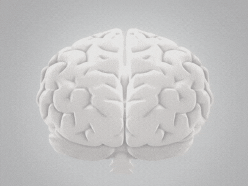 DR GUSTAVO NEUROLOGISTA1.gif