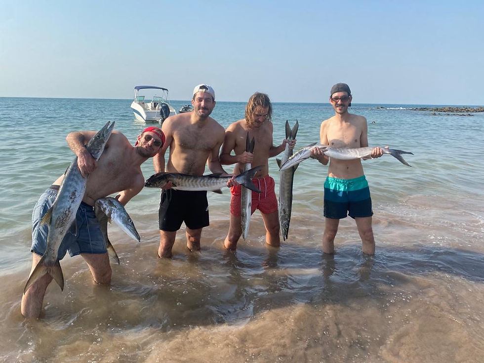 Sorties pêche du barracuda à la traine.
