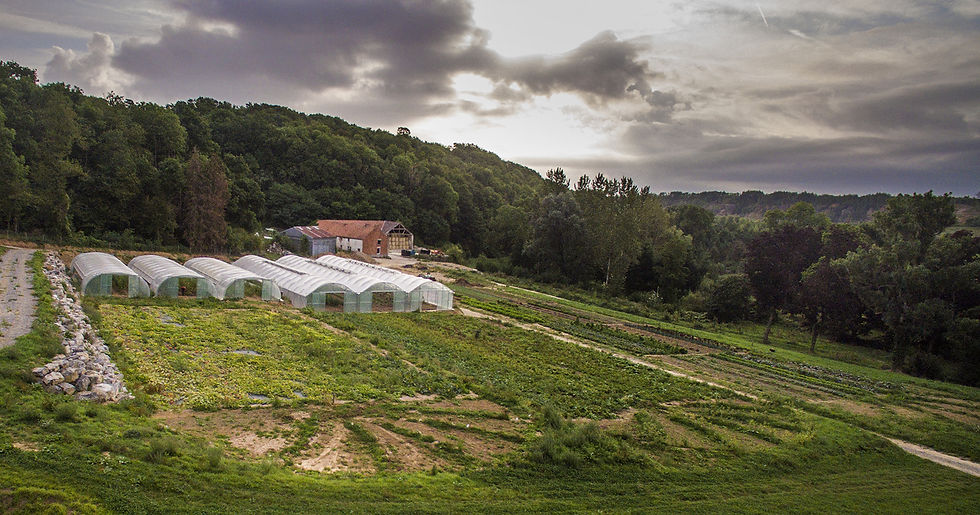 Vue de la ferme montée