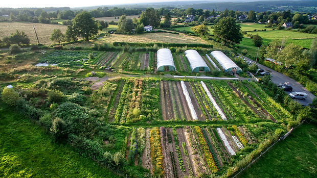 fabain-feraux-agrilandscape-maraichage-bio-intensif-permaculture01.jpg