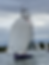 Maidenhead Sailing Club Sailing