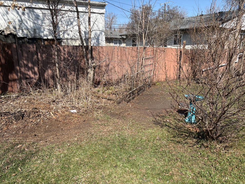 IMG_4717.jpeg