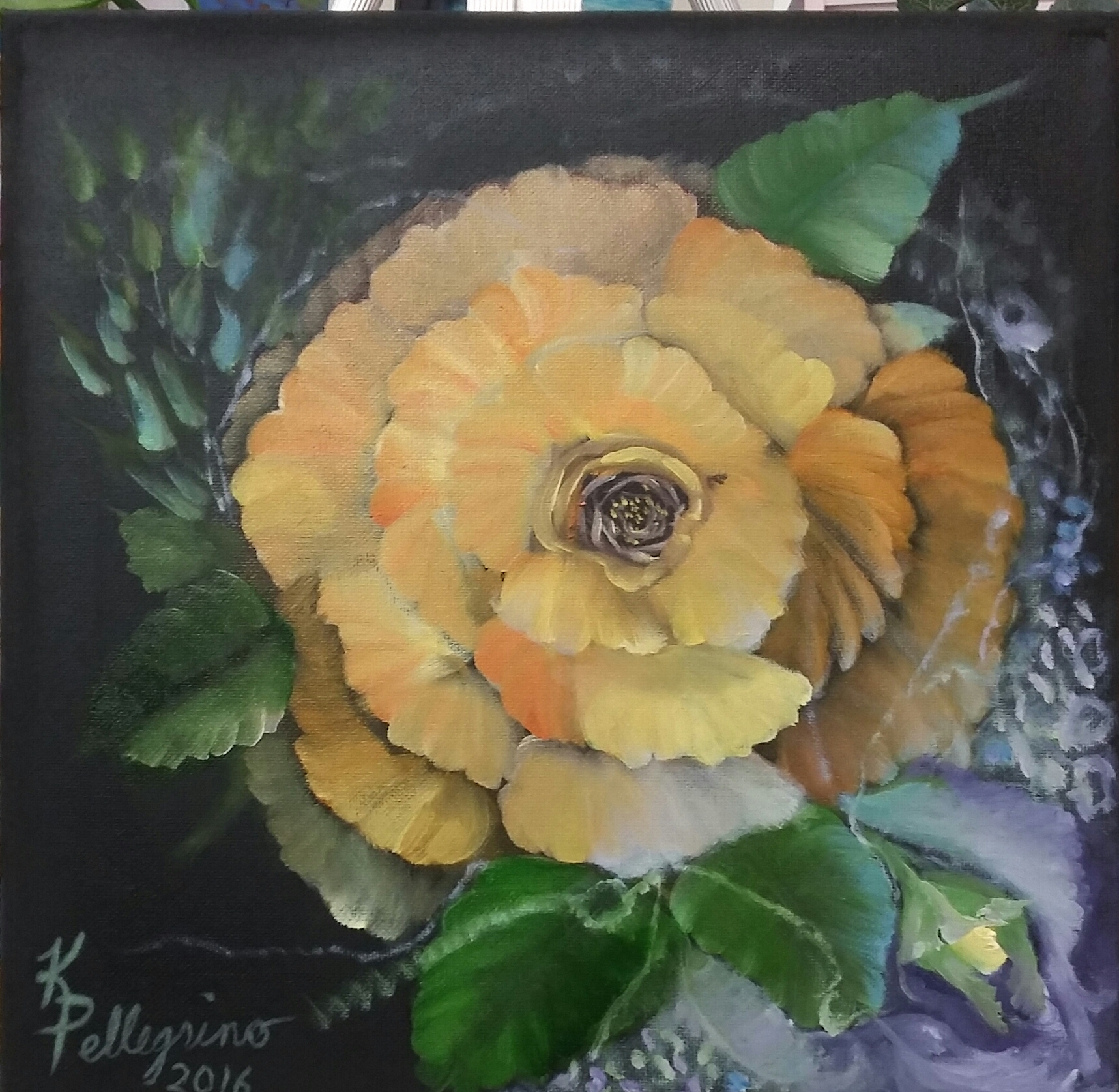 William H Miller Show Rose