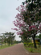 WhatsApp Image 2023-10-20 at 19.38.12 (1).jpeg