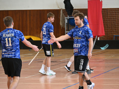 SOUHRN LEDNOVÝCH TURNAJŮ