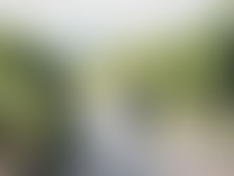 Noa & Zackary's spiritual wedding