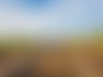 עשרה סודות לארגון חתונה מושלמת